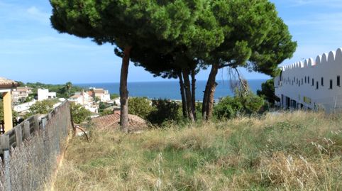 Parcel·la amb vistes al mar a Canet de Mar – Urbanització El Grau