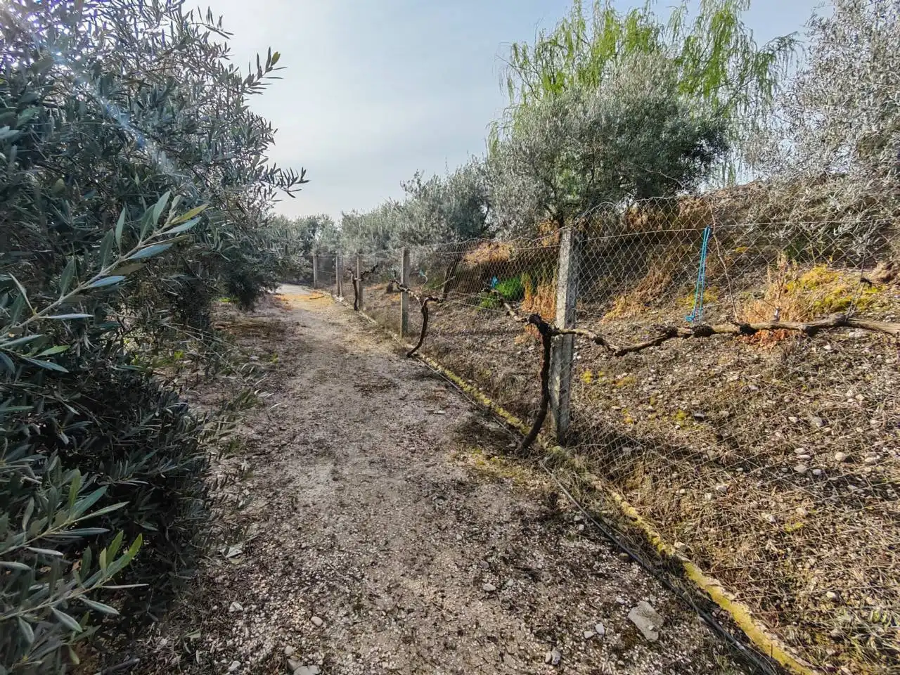 Finca rústica en venta en Huétor Tájar con Jardín privado, Piscina y Amueblado