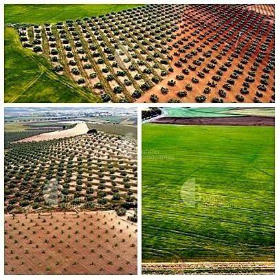 Terreno residencial en Venta en Campillos