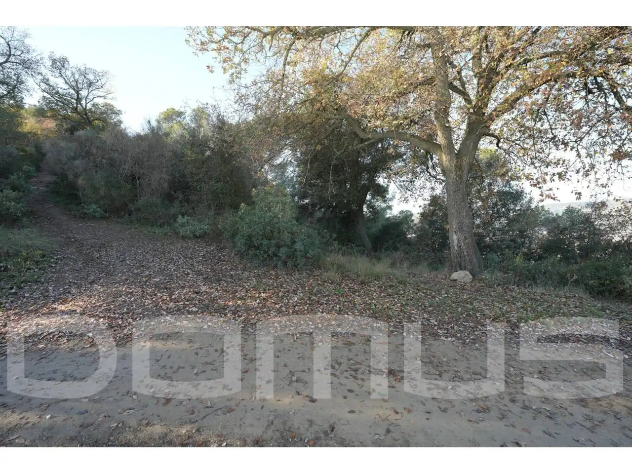 Terreno rústico en venta en Sant Vicenç Dels Horts, imagen 8