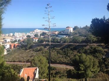 Terreno residencial en venta en Avinguda d'Irlanda 48