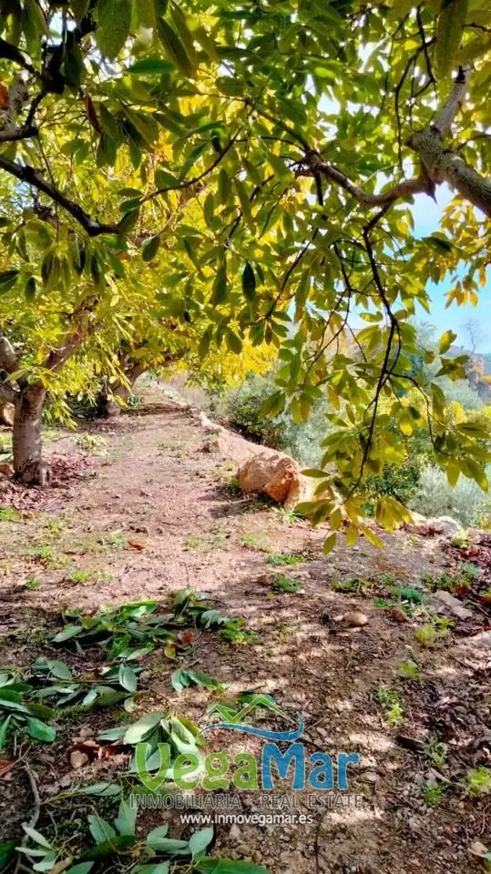 Casa rústica en venta en Los Guájares, imagen 3