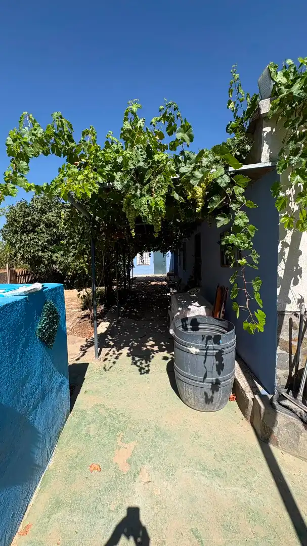 Chalet con piscina en venta en Pedanías - Extrarradio, imagen 23