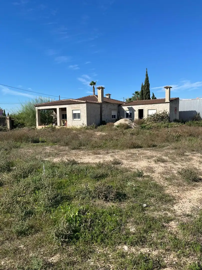Vista exterior de Finca rústica en venta en Crevillent