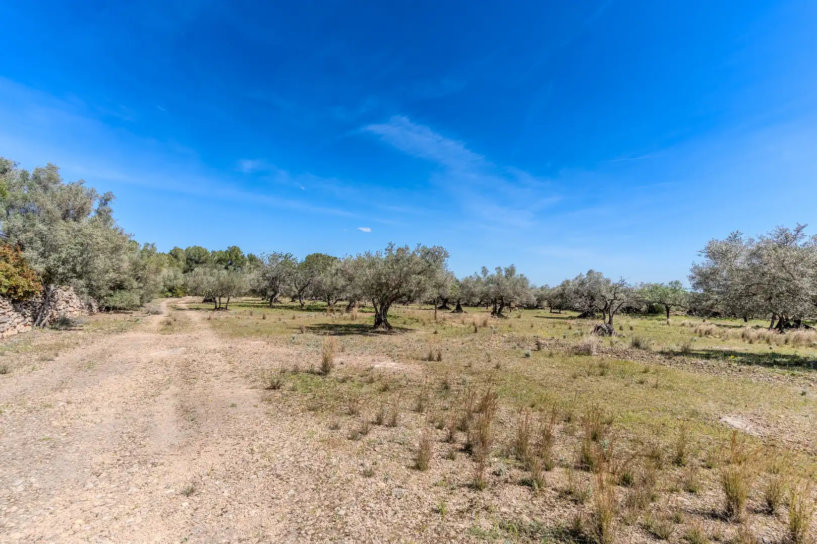 Land for sale in El Perelló