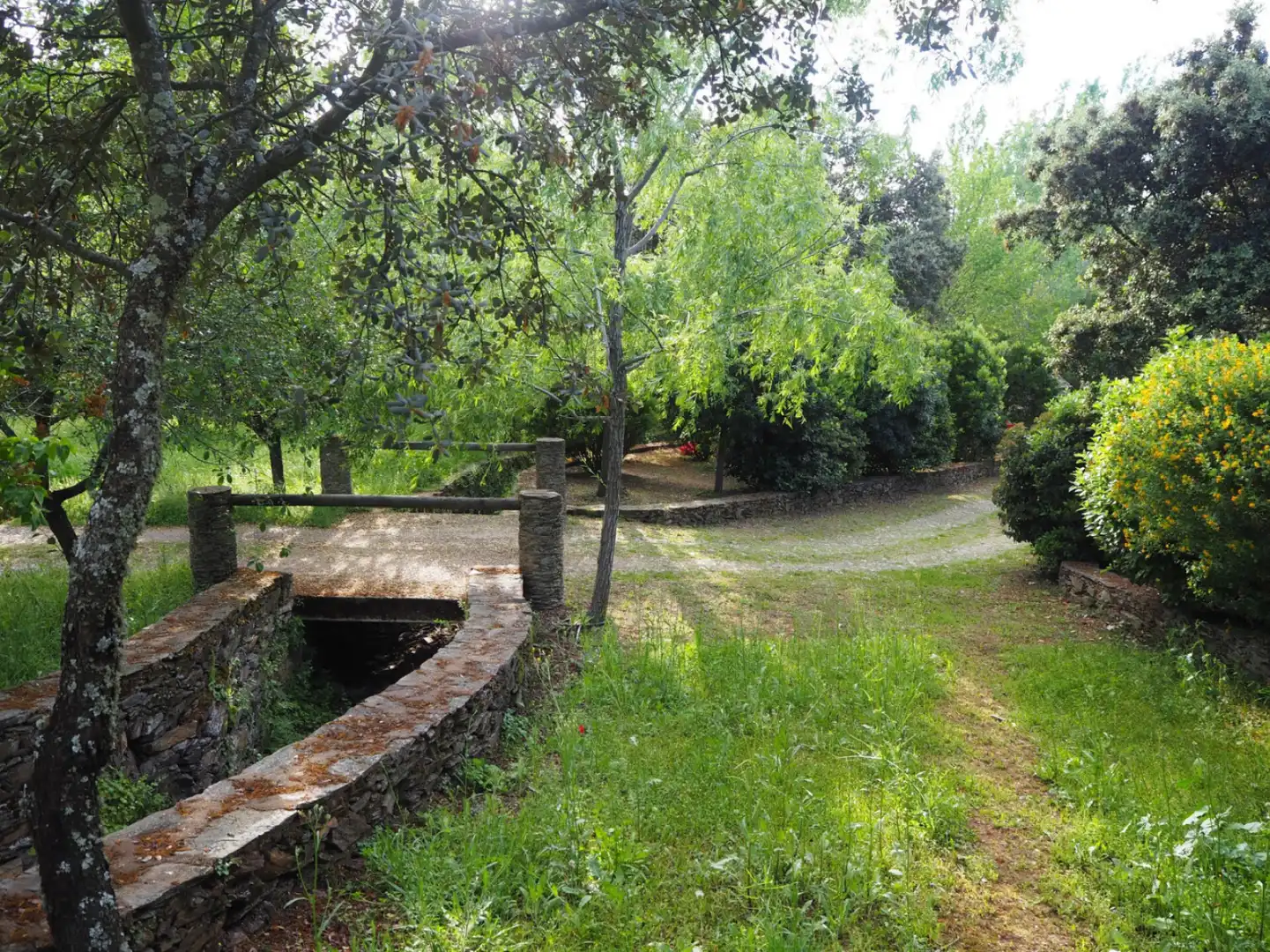 Houses for sale in Madroñera - LAS ANIMAS, Madroñera