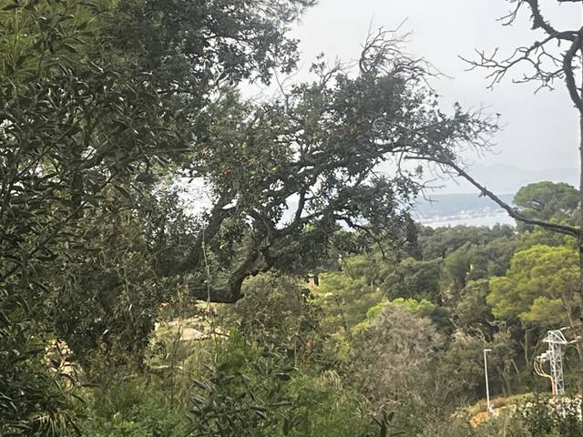 Terreno residencial en Venta en DE JOAQUIM PRATS I CARRERAS en Begur pueblo