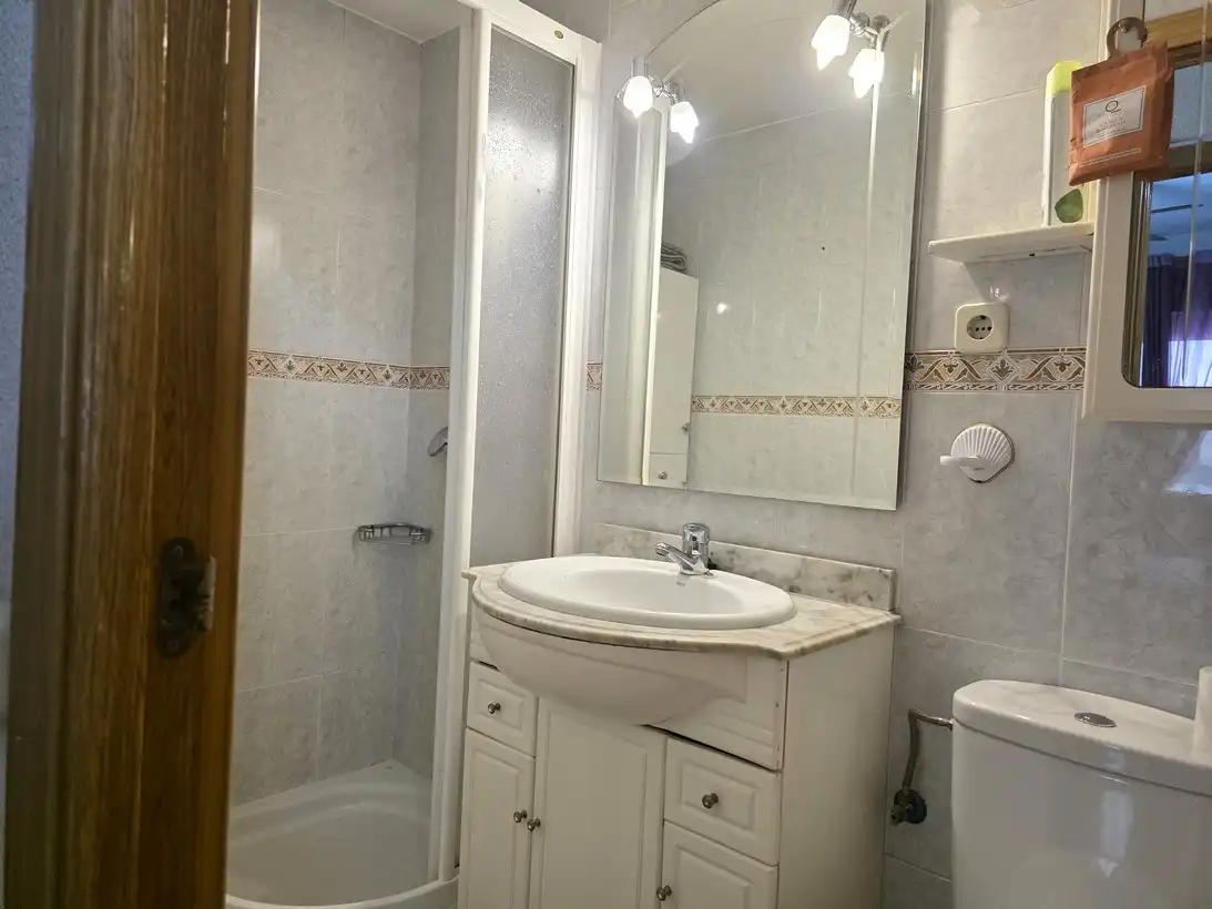 Bathroom of Flat for rent in Madrid  with Heating, Terrace and Furnished