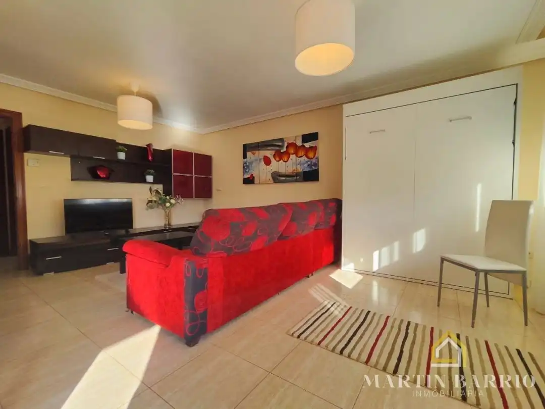 Sala de estar de Casa o chalet en venta en Muskiz con Calefacción, Jardín privado y Terraza