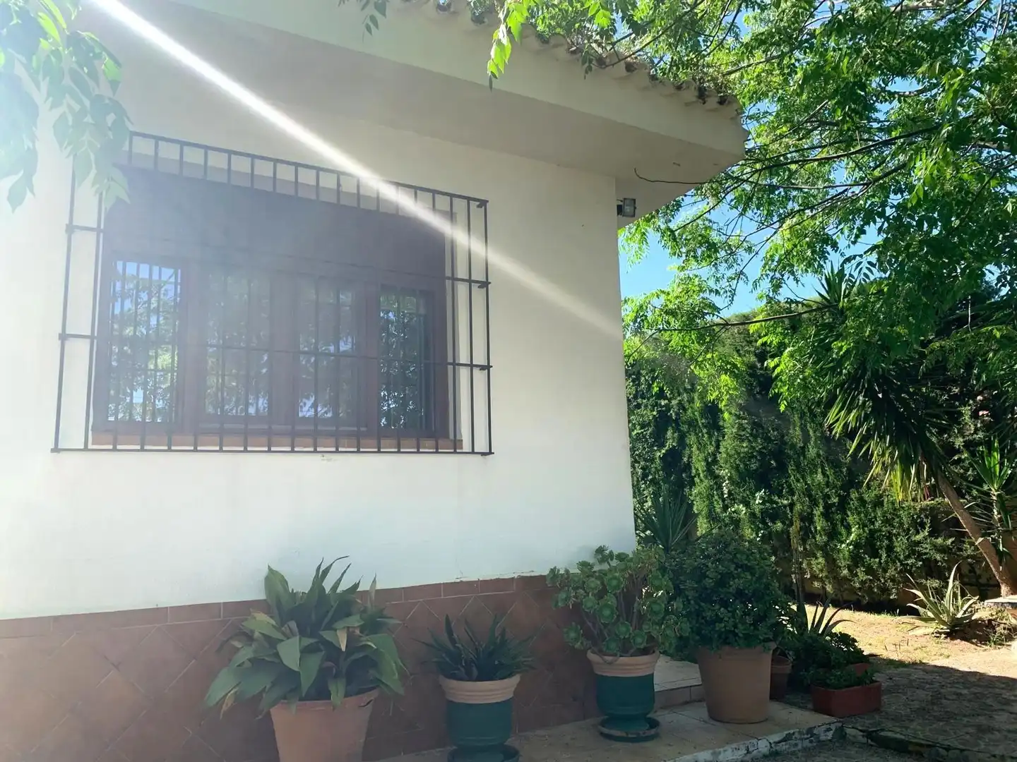 Chalet con piscina en venta en Castilblanco de los Arroyos, imagen 18