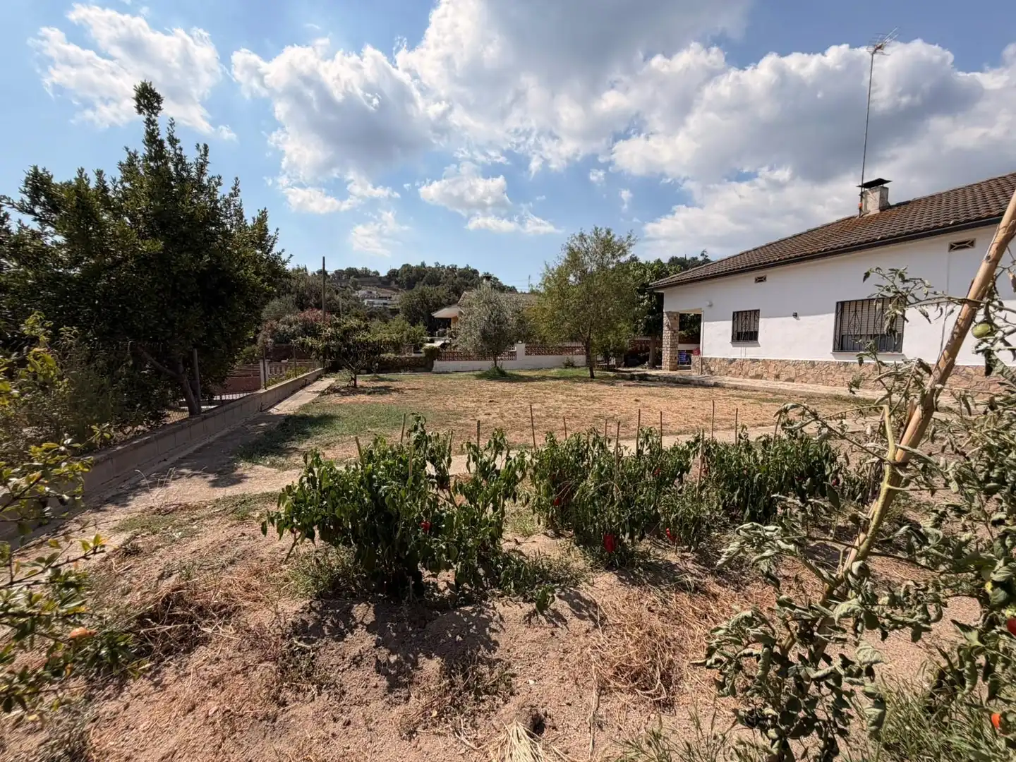 House with garden for sale in Niàgara Parc - Àgora Parc, imagen 5