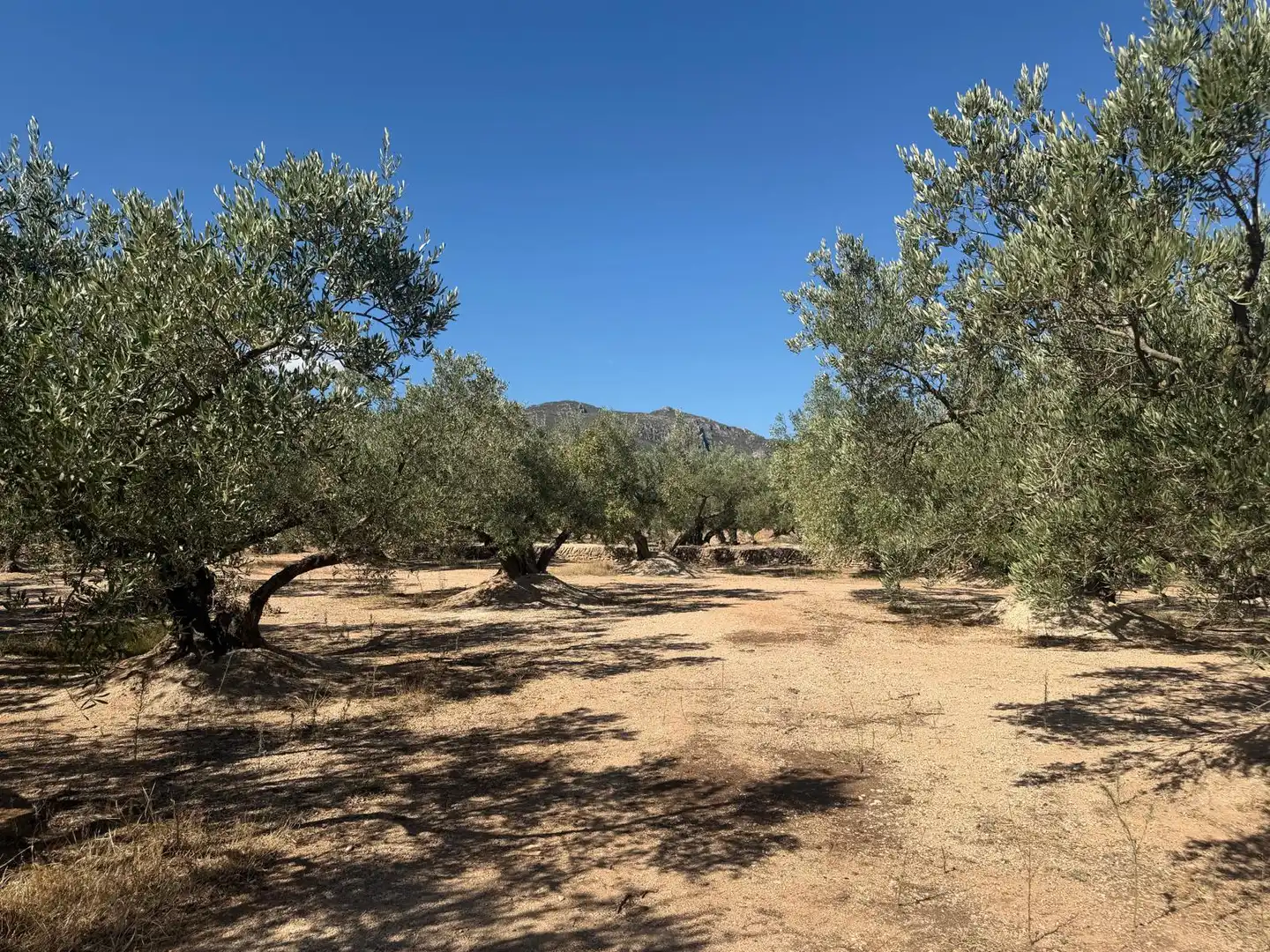 Residencial en venta en Roquetes