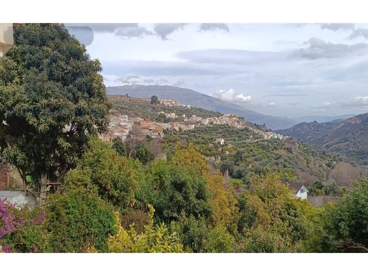 Vista exterior de Finca rústica en venda en Albuñuelas amb Jardí privat i Terrassa
