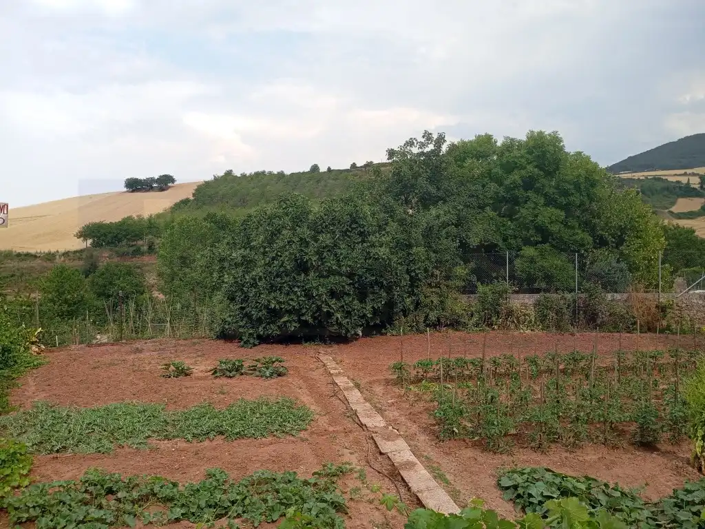Terreno residenziale in vendita a Estollo