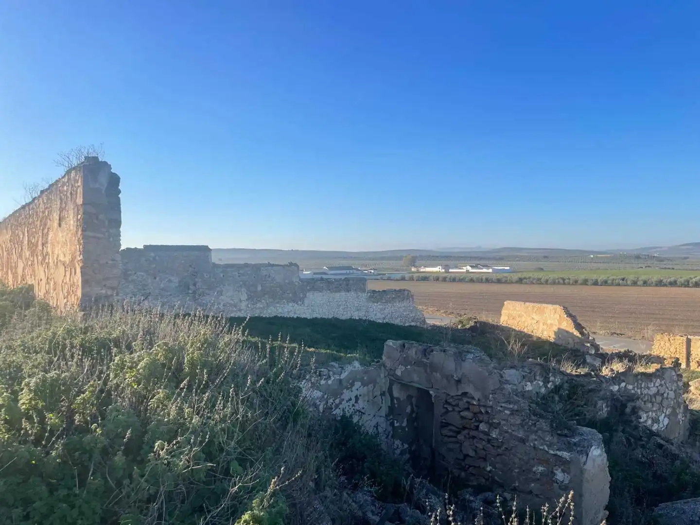 Lands and plots for sale in Marinaleda, imagen 5