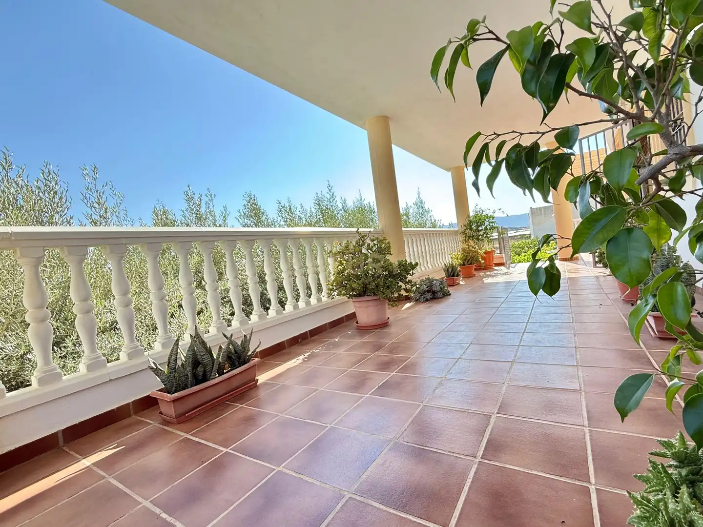 Casa amb jardí en venda a Berja, imagen 81
