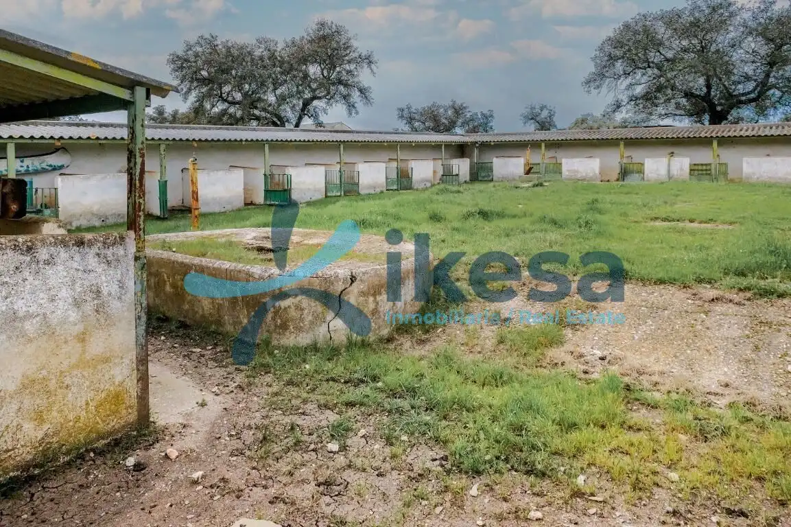 Land for sale in Puebla de Guzmán