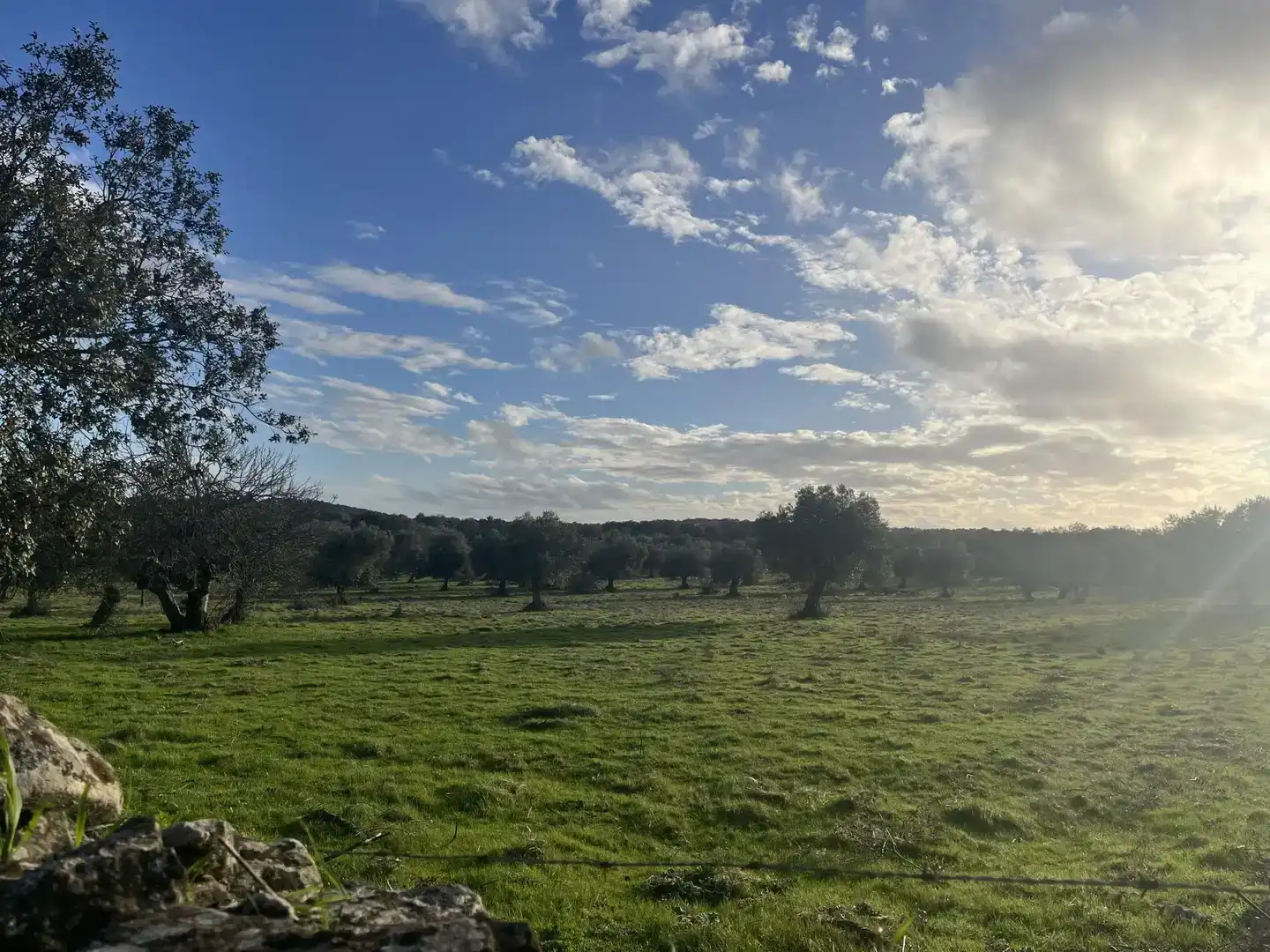 Finca rústica en venta en Segura de León, Badajoz