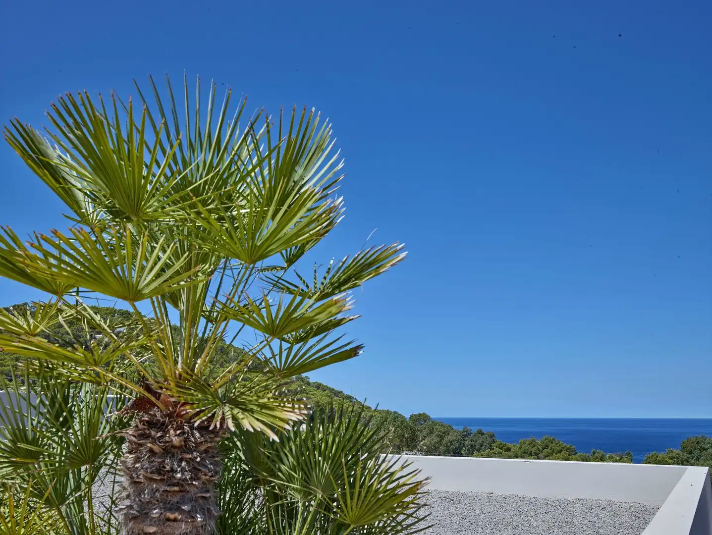 Apartament amb piscina en venda a Cala Vedella-Cala Tarida, imagen 17