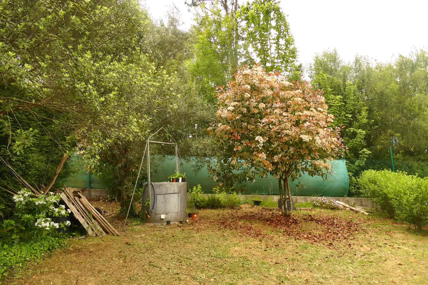 Jardí de Finca rústica en venda en San Sadurniño amb Jardí privat, Moblat i Forn