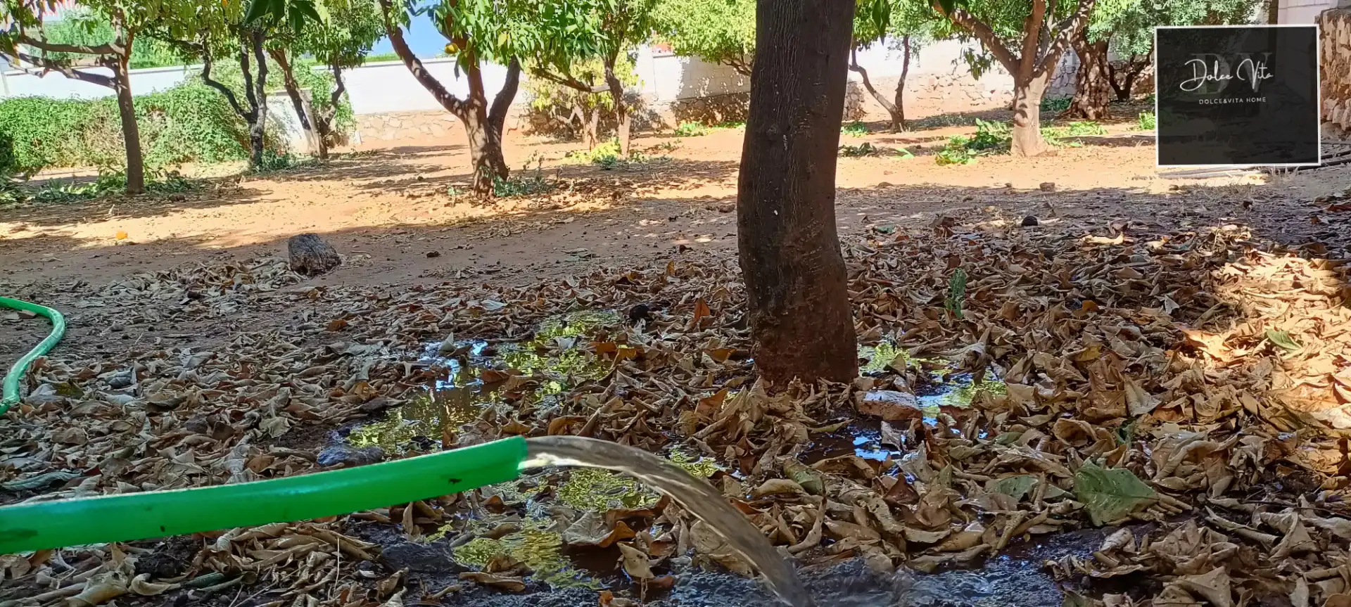 Xalet amb terrassa en venda a Manantiales - Lagar - Cortijo, imagen 23