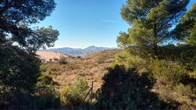 Terreno residencial en Venta en via Pista en Busot