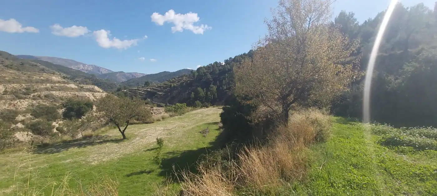 Terrenys i solars en venda a Relleu, imagen 11