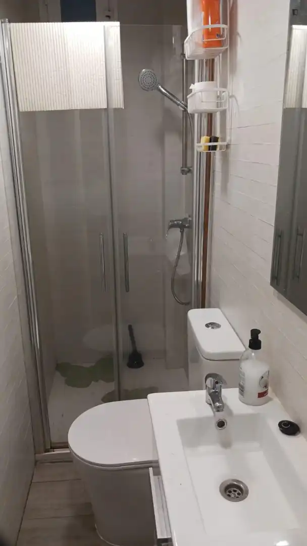Bany de Apartament de lloguer en Madrid amb Moblat, Forn i Rentadora