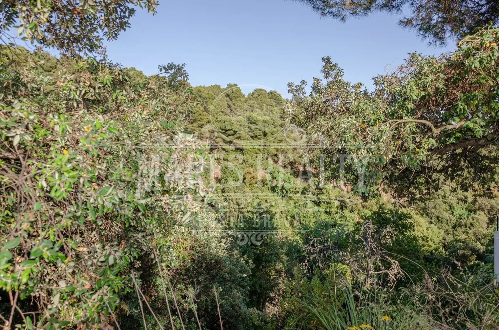 Grundstücke und Bauplätze zum Verkauf in Santa María de Llorell, imagen 8