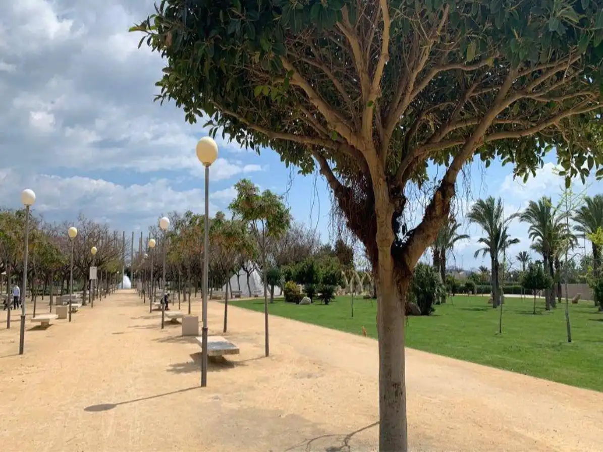 Vista exterior de Piso en venta en San Vicente del Raspeig / Sant Vicent del Raspeig con Piscina comunitaria