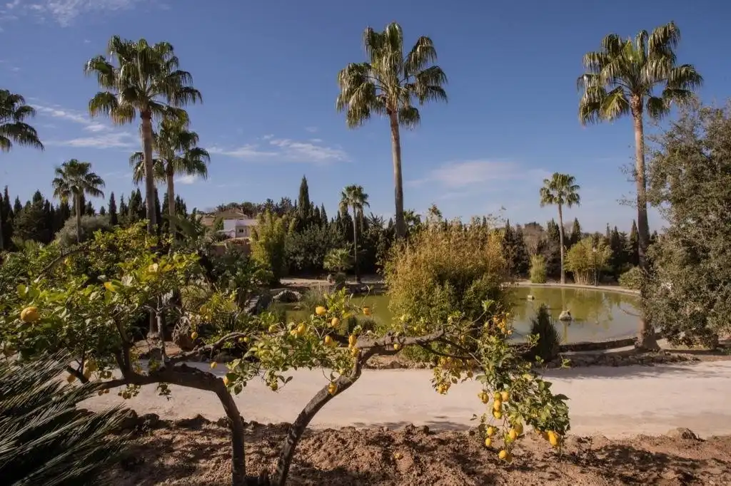 Jardí de Finca rústica en venda en Arcos de la Frontera amb Calefacció, Terrassa i Traster