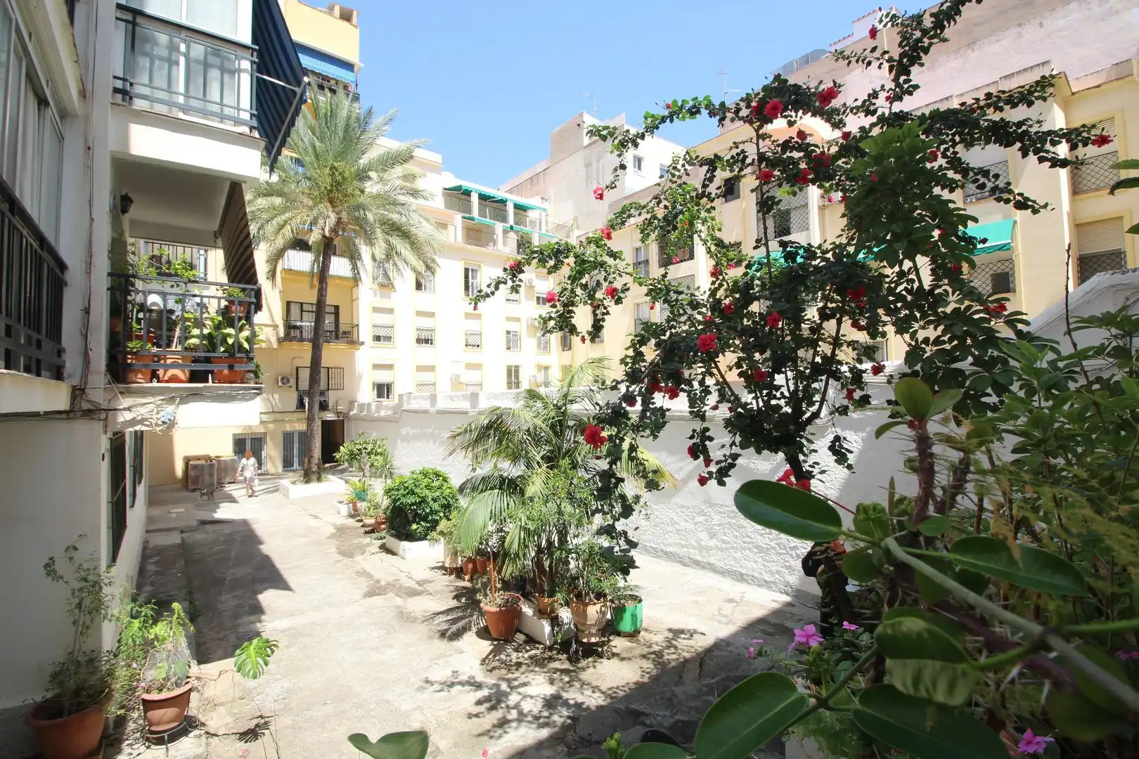 Exterior view of Flat for sale in Málaga