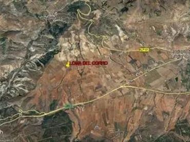 Terreno rustico in vendita a Laujar de Andarax