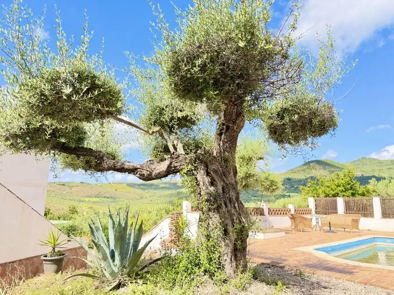 House with pool for sale in Calle El Regao 2, imagen 9