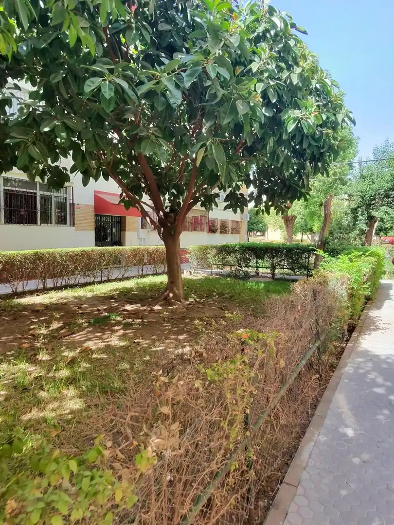 Vista exterior de Piso para compartir en Sur