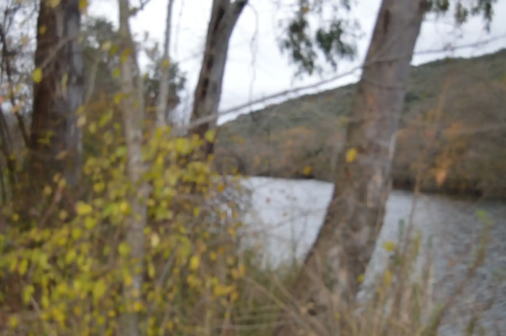 Finca rústica en venda en Piedrabuena amb Aire condicionat, Calefacció i Terrassa