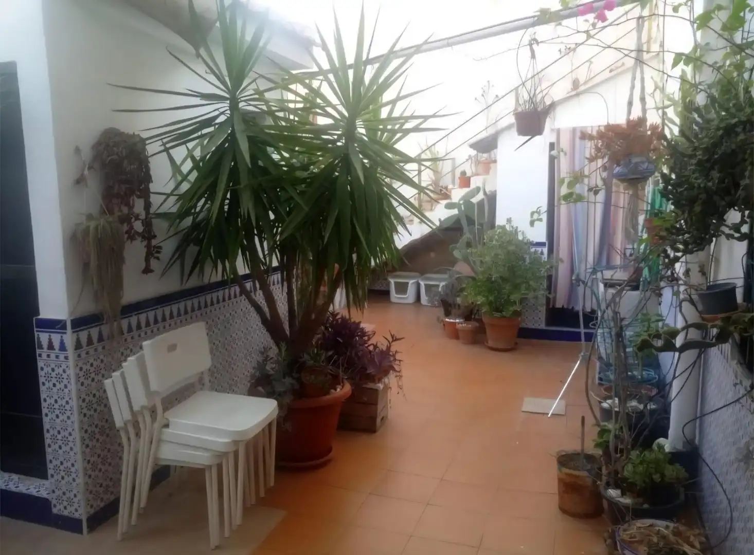 Terrace of Ground floor for sale in  Murcia Capital