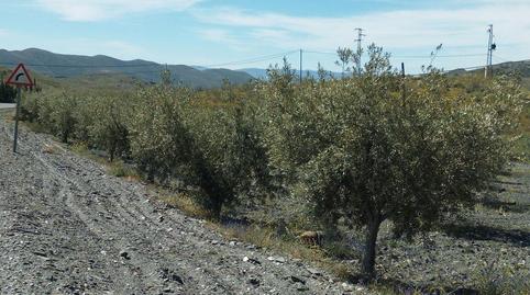 Foto 2 von Country house zum Verkauf in Senés, Almería