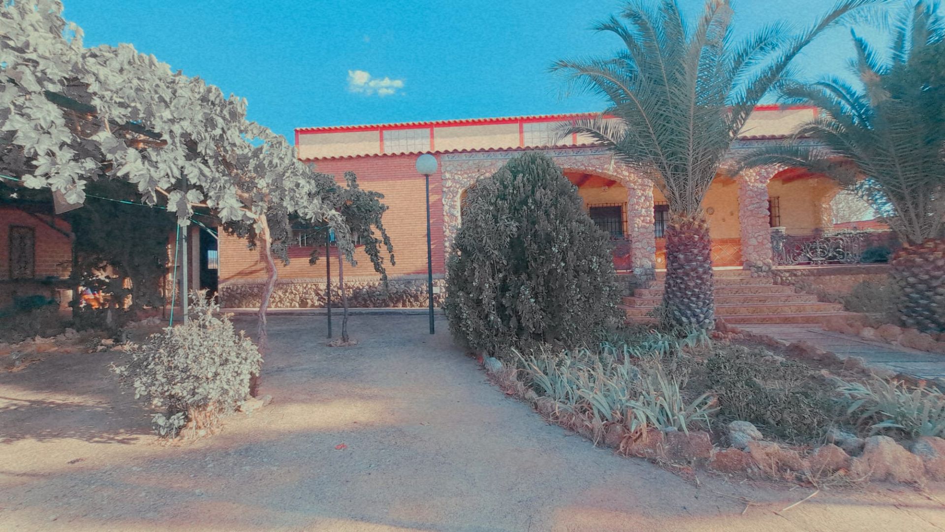 Vista exterior de Terreno en venta en Granátula de Calatrava