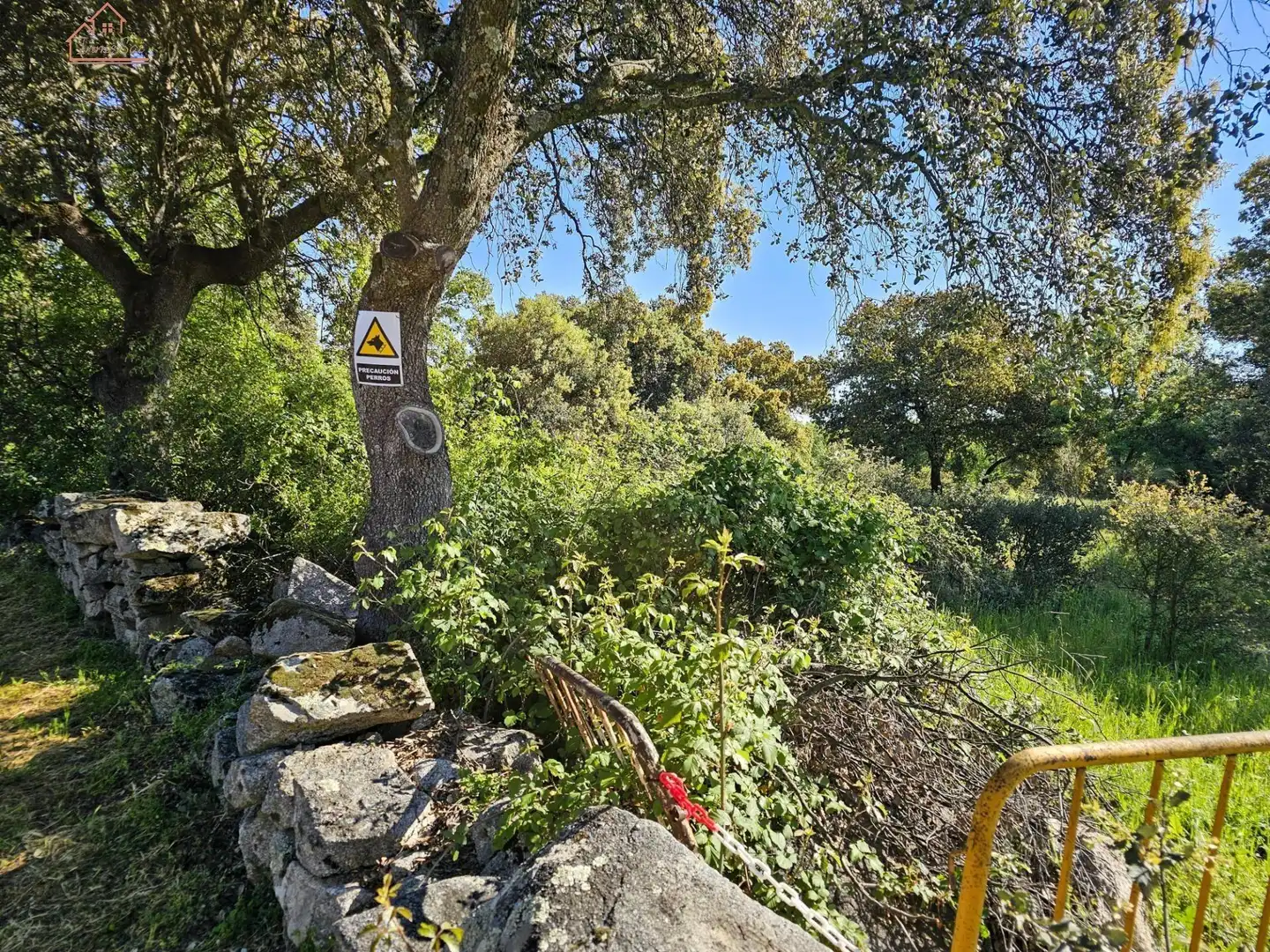 Terreno rustico in vendita a Valdemorillo pueblo, imagen 18