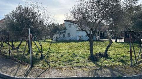 Foto 2 de Finca rústica en venda a Calle Antonio Machado, Valdetorres de Jarama, Madrid