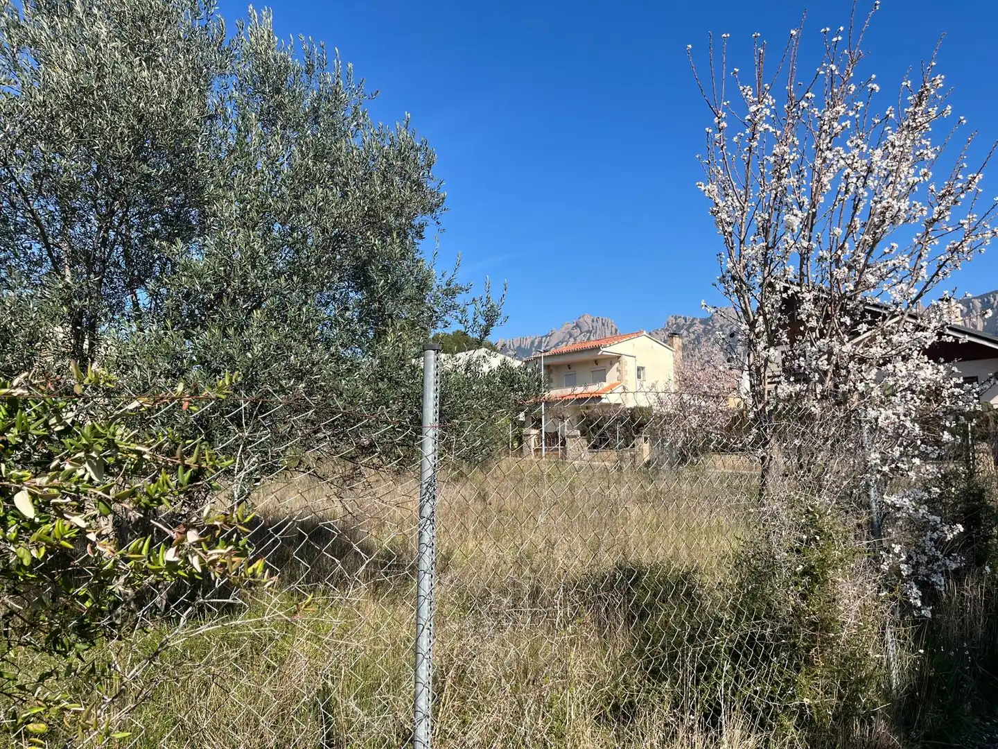 Terreny residencial en venda a Collbató, imagen 11