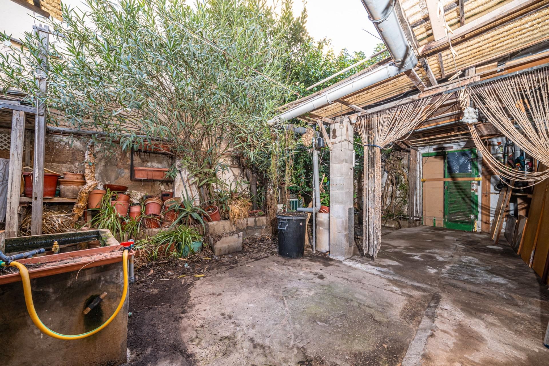 Jardí de Casa o xalet en venda en  Palma de Mallorca amb Jardí privat, Terrassa i Traster