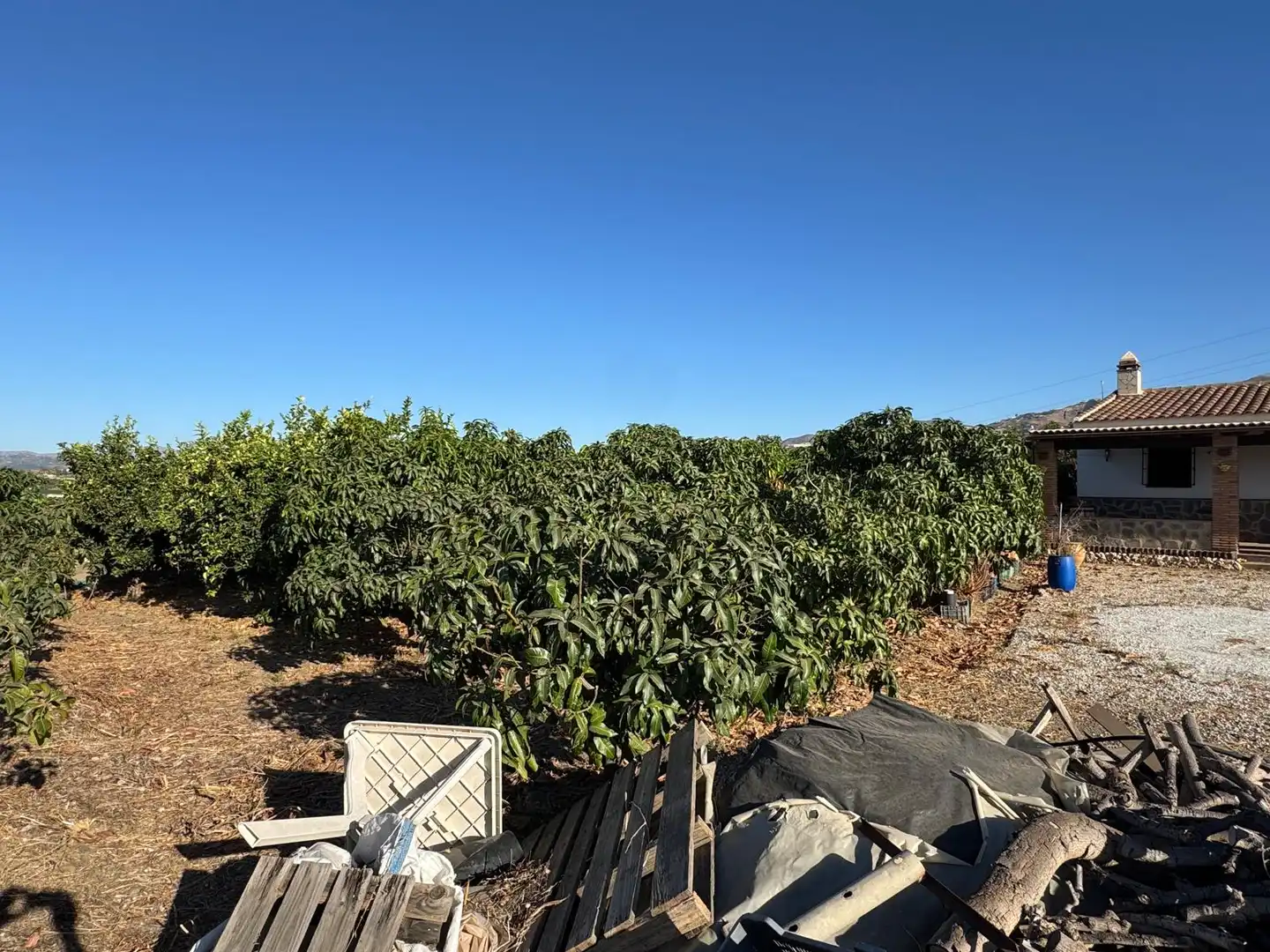 Chalet con jardín en venta en Extrarradio Mayora 127, imagen 15