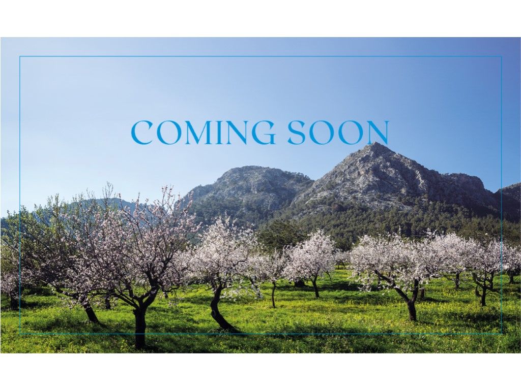 Exterior view of House or chalet for sale in  Palma de Mallorca  with Air Conditioner, Heating and Private garden