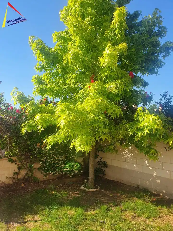 Jardí de Casa adosada en venda en Encinillas amb Calefacció, Jardí privat i Terrassa