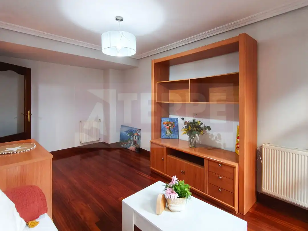Living room of Flat for sale in Errenteria  with Heating, Furnished and Balcony