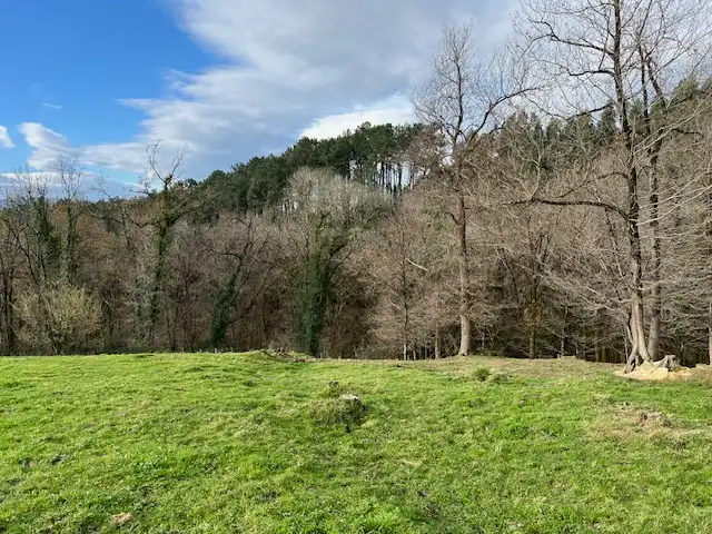 Land for sale in Lezama