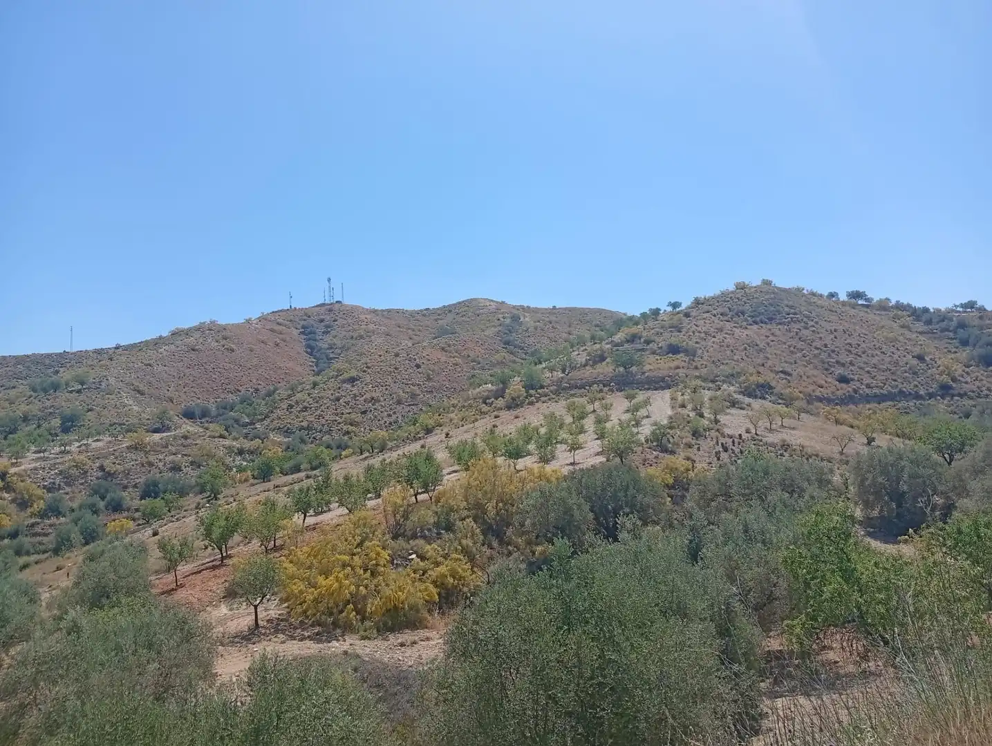 Rural land for sale in Lubrín, imagen 12