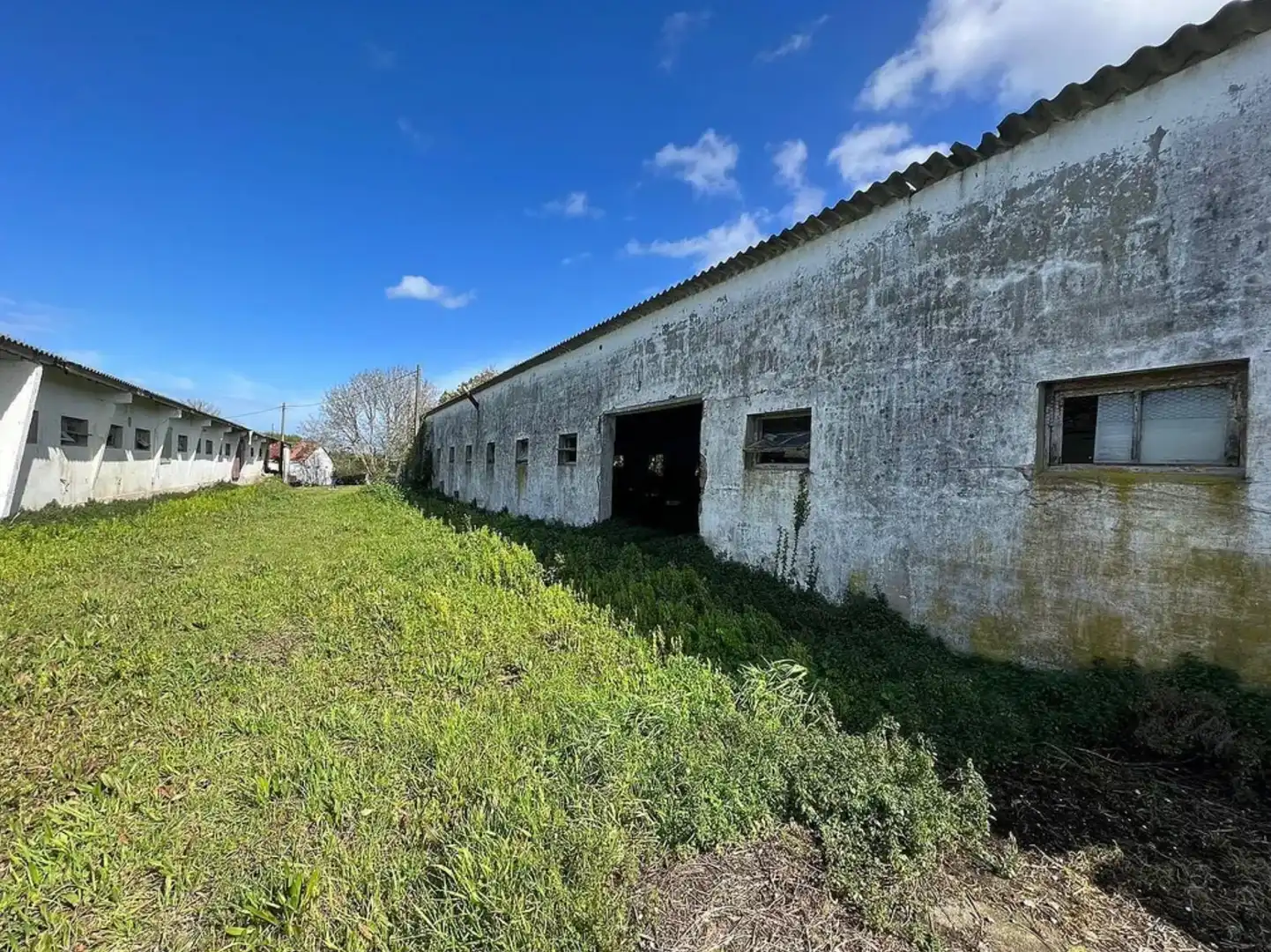 Industriegebäude zum Verkauf in Valdoviño, imagen 13